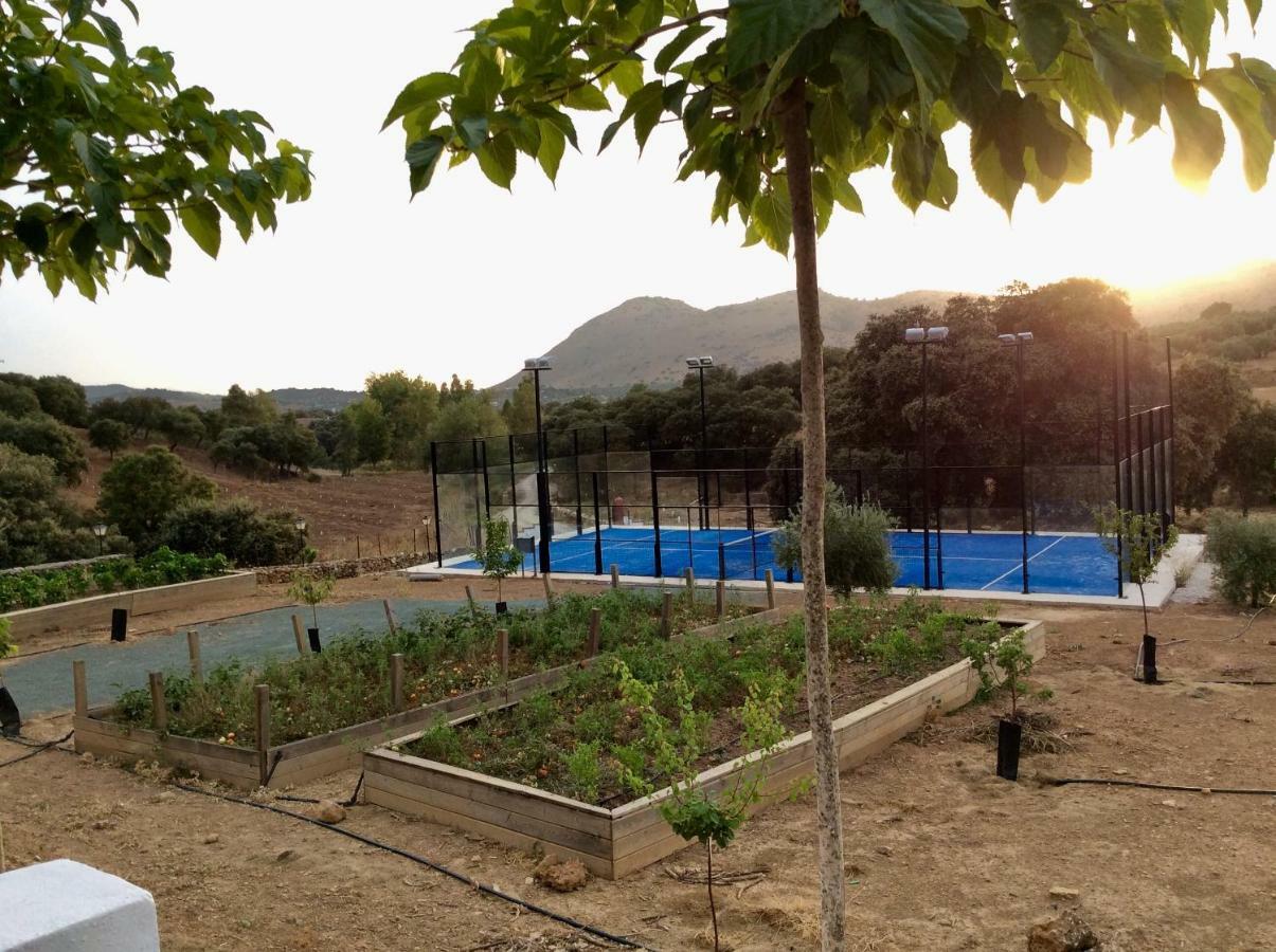 Santa Marta Complejo Rural Con Pista De Padel Archidona Exterior foto